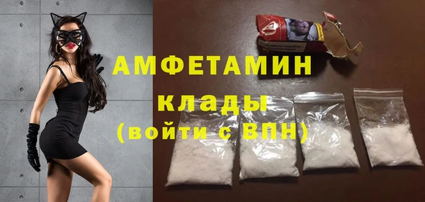 стаф Алзамай
