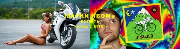 стаф Алзамай