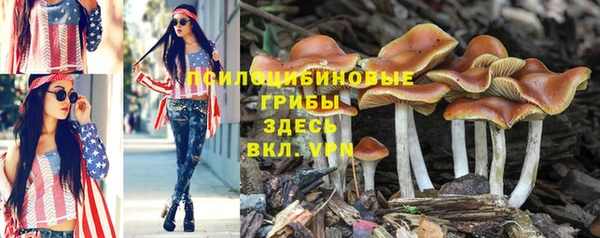 кокаин колумбия Алексеевка