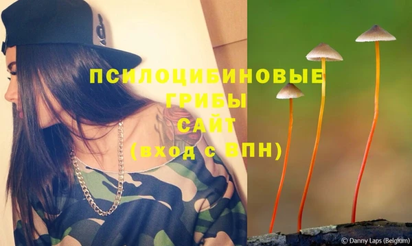 spice Пересвет